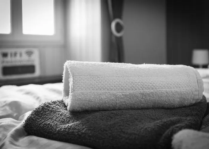 Cozy Cozy